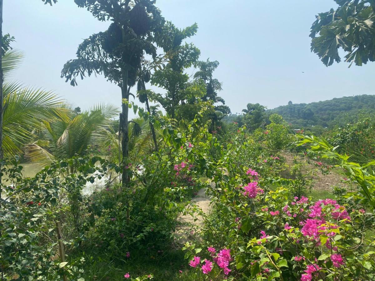 Ngoc Tien Farmer Eco Lodge 吉仙 外观 照片