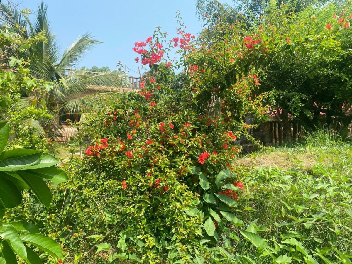 Ngoc Tien Farmer Eco Lodge 吉仙 外观 照片