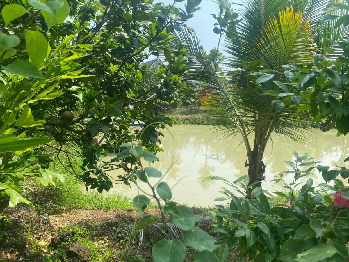 Ngoc Tien Farmer Eco Lodge 吉仙 外观 照片